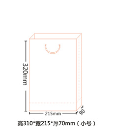 小号手提袋尺寸